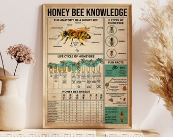 Póster de conocimientos sobre abejas, decoración del hogar, decoración de pared, anatomía de la abeja, ciclo de vida de la abeja, tres tipos de abejas