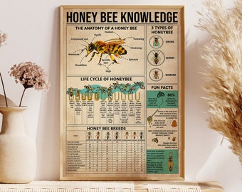 Honey Bee Knowledge Poster, Bee Home Decor, Honey Bee Wall Decor, The Anatomy Of A Honey Bee, Life Cycle Of Honeybee, 3 Types Of Bees