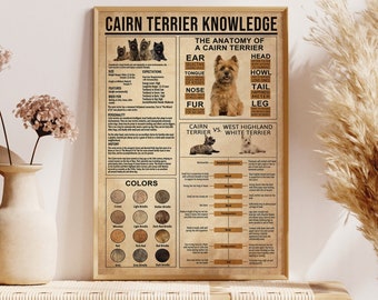 Op de afbeelding: Een vintage poster met een illustratie van een Cairn Terrier en informatie over het ras. De poster bevat de anatomie van de hond, zijn persoonlijkheid, zijn geschiedenis en zijn kleuren. Het vergelijkt ook de Cairn Terrier met de West Highland White Terrier.