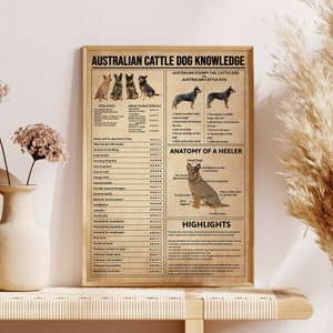 Australian Cattle Dog Knowledge Poster, Dog Poster, Vintage Poster, Dog Lovers, Dog Owner Gift, Dog Home Decor, Dog Wall Decor, Dog Wall Art