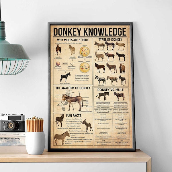 Donkey Knowledge Vintage Poster, Gift For Donkey Lovers, Donkey Wall Art, The Anatomy Of Donkey, Donkey Home Decor, Type Of Donkey Print