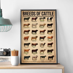 Breeds Of Cattle Poster, Types of Cattle, Cattle Knowledge, Vintage Cattle Wall Art, Farmhouse Decor, Cattle Wall Hanging, Cattle Lover Gift