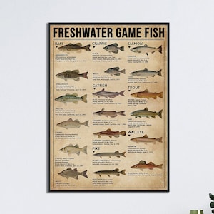 Poster di conoscenza dei pesci d'acqua dolce, poster di conoscenza della pesca, arredamento per la casa dedicato alla pesca, poster vintage dedicato alla pesca, regalo per gli amanti della pesca