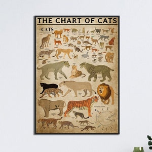 The Chart of Cats Poster, Katzenrassen Druck, Katzenrassen Karte, Katzensorten Wandkarte, Katzentypen Kunstdruck, Kunst für Katzenliebhaber, Art Der Katze