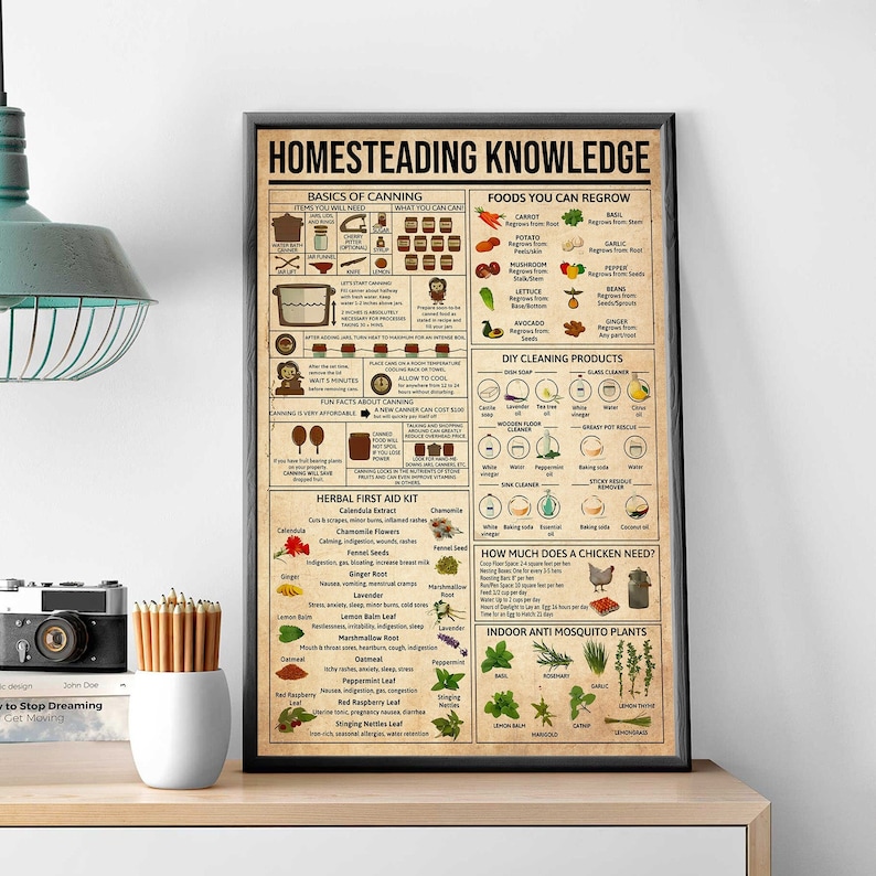May include: A vintage-style poster with the title "Homesteading Knowledge". The poster features illustrations and text about canning, gardening, herbal remedies, DIY cleaning products, and chicken care. The poster is printed on a white background with black text and illustrations.