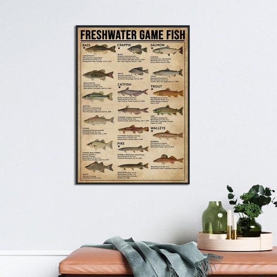 Freshwater Game Fish Knowledge Poster, Fishing Knowledge Poster