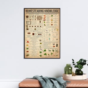 May include: A vintage-style poster with the title "Homesteading Knowledge". The poster features illustrations and text about the basics of canning, foods you can regrow, herbal first aid, DIY cleaning products, how much a chicken needs, and indoor anti-mosquito plants.