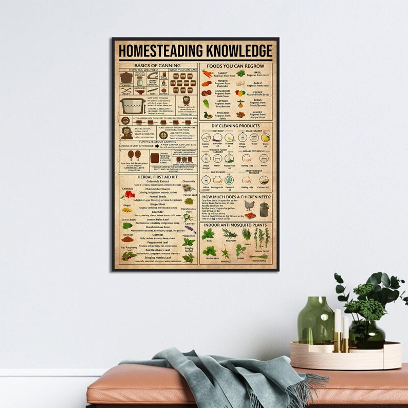 May include: A vintage-style poster with the title "Homesteading Knowledge". The poster features illustrations and text about the basics of canning, foods you can regrow, herbal first aid, DIY cleaning products, how much a chicken needs, and indoor anti-mosquito plants.