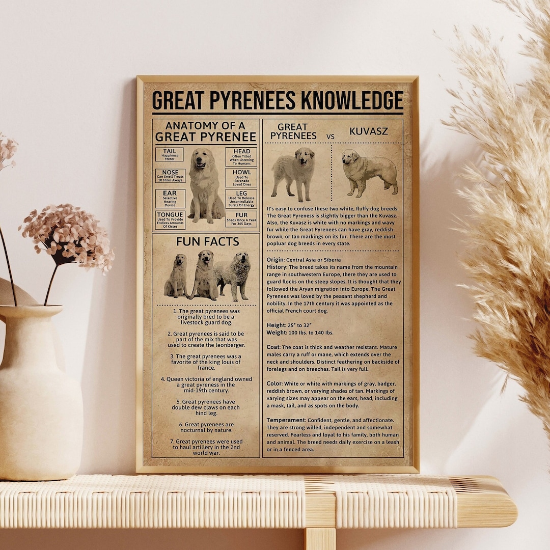 Read Pyrenee Comic Great Pyrenees Knowledge Poster, Great Pyrenees Vintage Poster, Dog ...