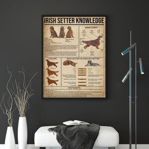 Op de afbeelding: Een poster met een illustratie van een Ierse Setter hond en informatie over het ras, inclusief anatomie, kleuren, geschiedenis, persoonlijkheid en hoogtepunten. De poster vergelijkt ook de Ierse Setter met de Engelse Setter.