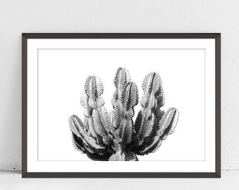 Cactus Printable, Desert Wall Art, Cactus Photo Black And White, Desert Photography, Modern Wall Art, Home Office Decor