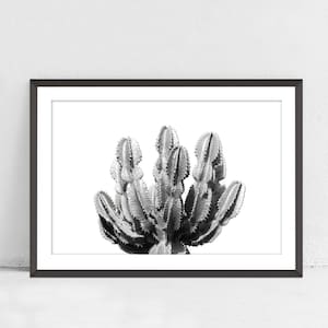 Cactus Printable, Desert Wall Art, Cactus Photo Black And White, Desert Photography, Modern Wall Art, Home Office Decor