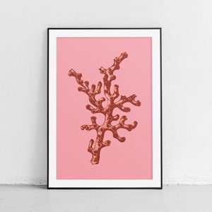 Red Coral Printable Wall Art, Bathroom Wall Decor, Coral Art Print, Beach House Decor, Botanical, Coastal, Tropical, Vintage Illustration