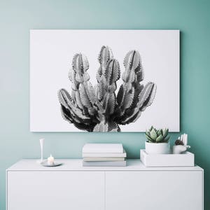 Cactus Printable Desert Wall Art Cactus Photo Black and - Etsy