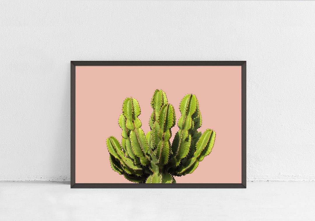 Cactus Printable Cactus on Pink Cactus Wall Art Cactus Etsy