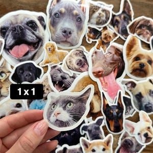 May include: A selection of stickers displaying diverse dog and cat breeds. The stickers present detailed portraits of various canine and feline faces, with a range of colors and expressions. One sticker is being held by a hand. The text "1x1" is visible.