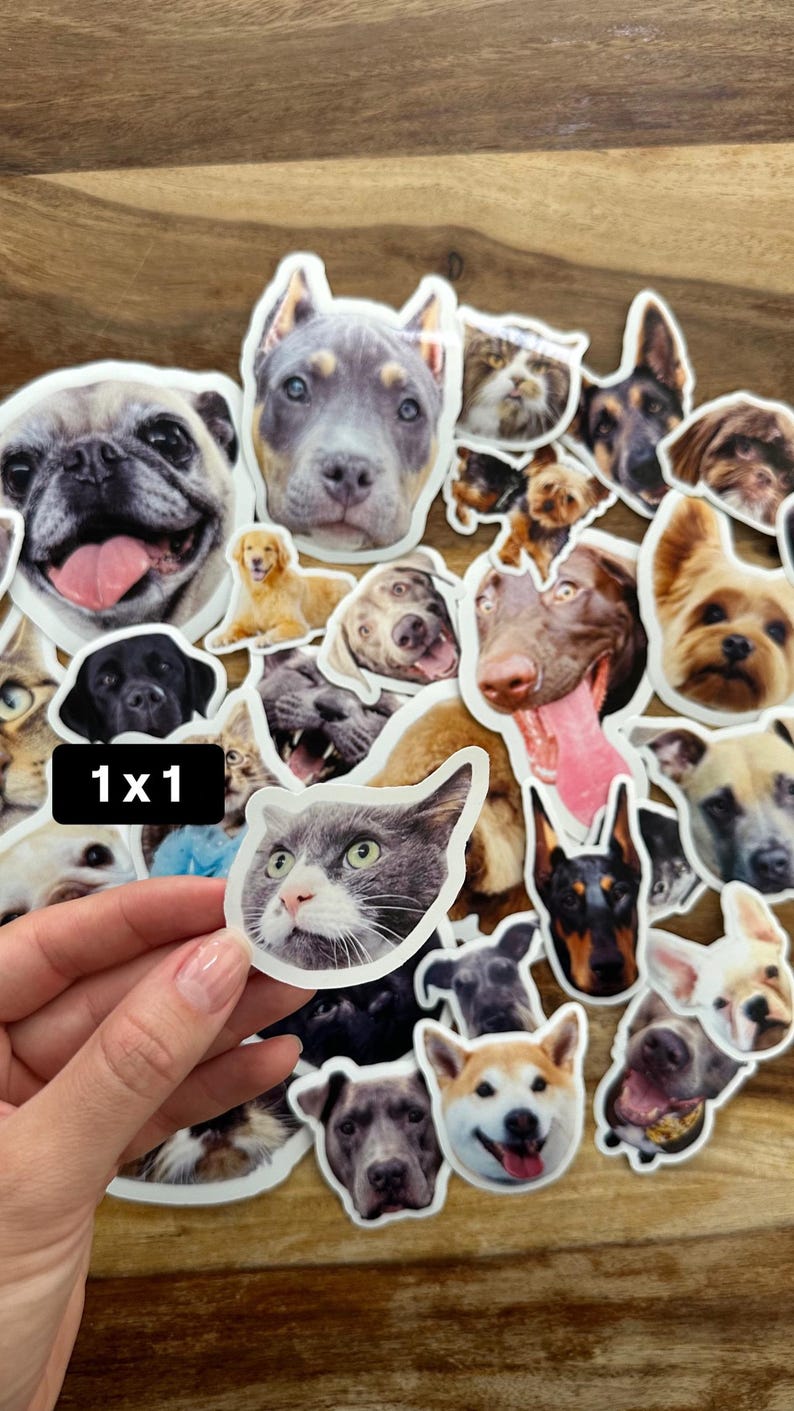 May include: A selection of stickers displaying diverse dog and cat breeds. The stickers present detailed portraits of various canine and feline faces, with a range of colors and expressions. One sticker is being held by a hand. The text "1x1" is visible.