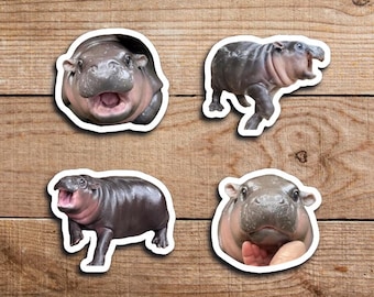 Moo Deng The Hippo Meme Stickers – Cute Baby Hippo Sticker Pack, Water Resistant & Funny – Kawaii Animal Gift for Laptop, Bottle, Journal