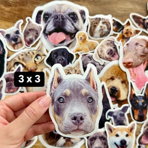 May include: A selection of stickers depicting different dog and cat breeds. The stickers vary in size and shape, with a range of colours and facial expressions. One sticker is held by a hand, with the text "3 x 3" visible.