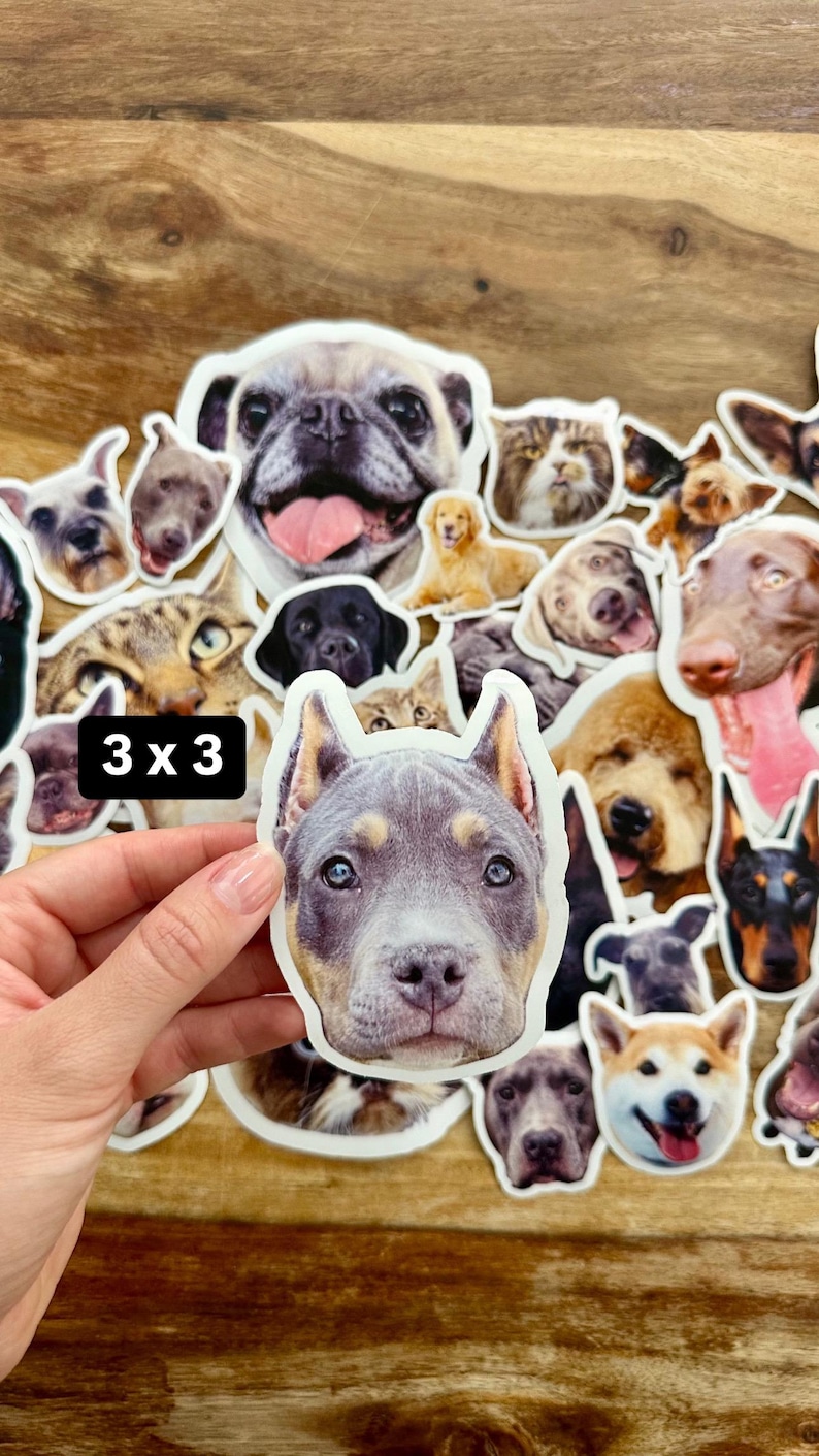 May include: A selection of stickers depicting different dog and cat breeds. The stickers vary in size and shape, with a range of colours and facial expressions. One sticker is held by a hand, with the text "3 x 3" visible.
