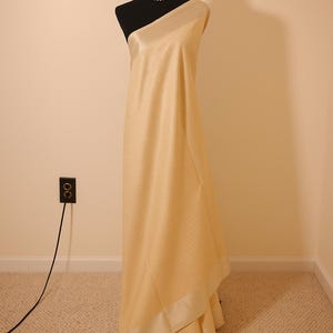 Tissue Silk Saree: Silver Zari Border, Wedding Party Wear