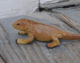 Safari Miniature Galapagos Land Iguana #681704 - For Dollhouse, Display, Diorama, Fairy Garden, Etc. - Miniatures, Tiny - Realistic