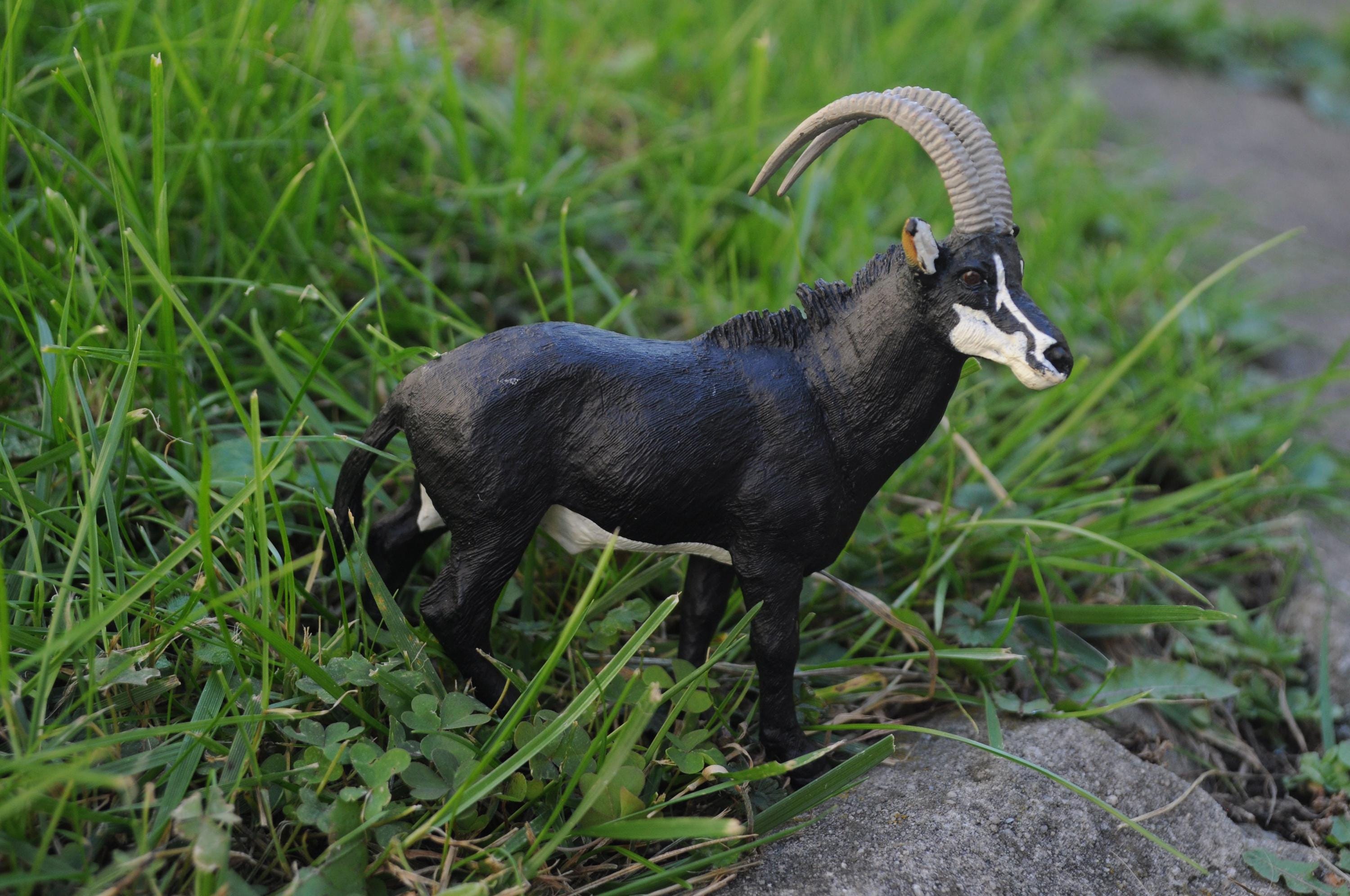 DISCONTINUED Safari #227829 Sable Antelope Figurine - Black