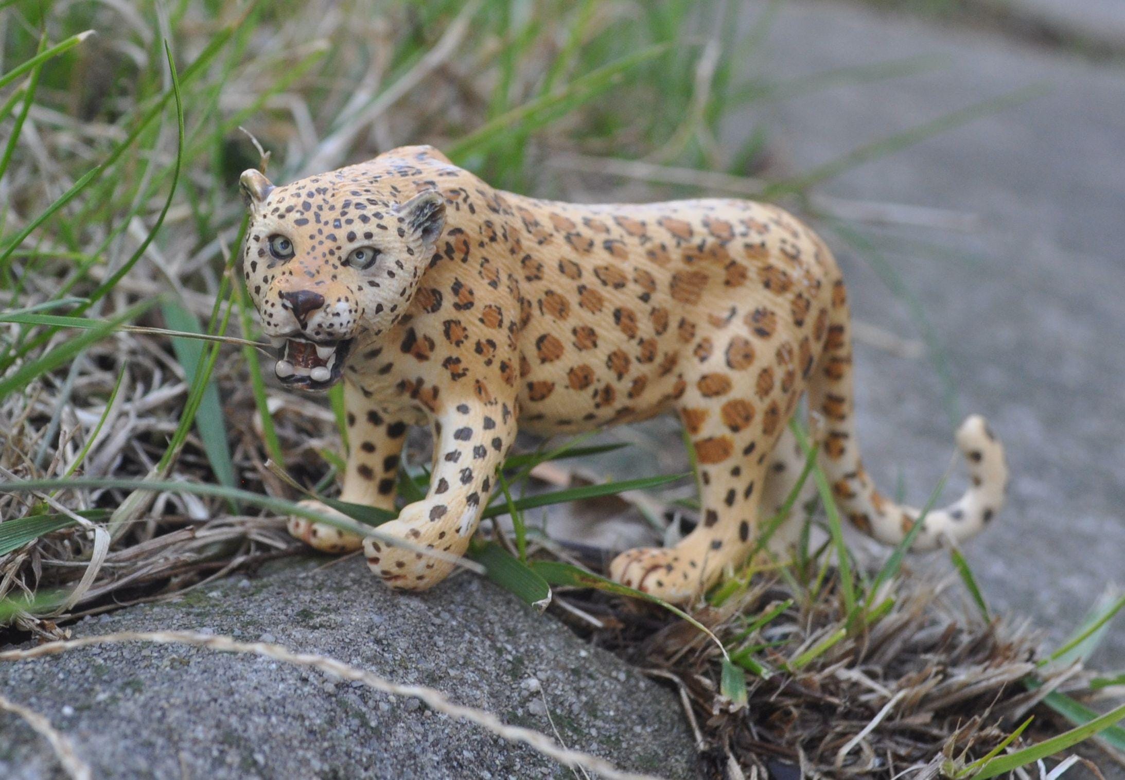 ●ONE BRILLIANT● CynthiaOB434Leopard Cynthia-OB434-Leopard サングラス ^ONE BRILLIANT^ CynthiaOB434Leopard Cynthia-OB434