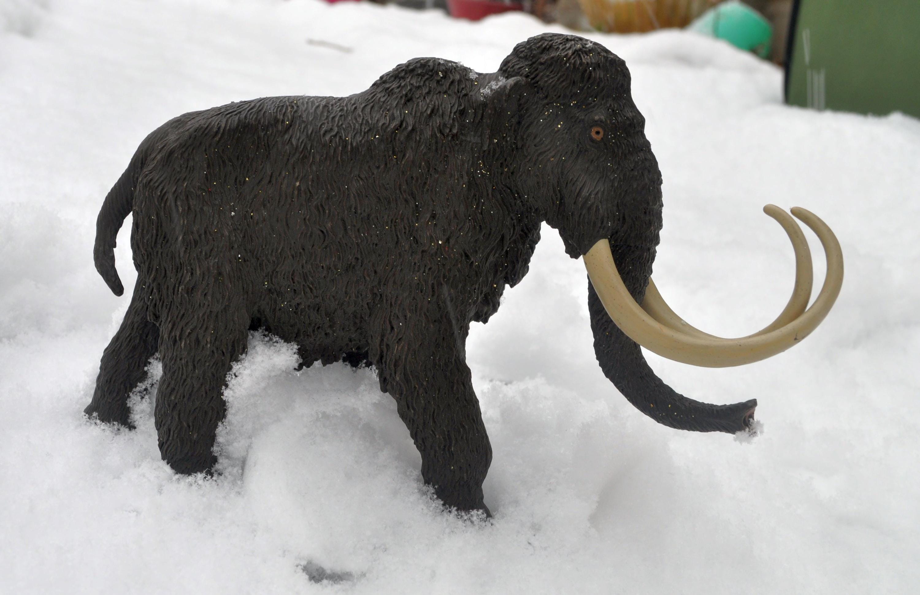 Safari 404201 Woolly Mammoth Dinosaur Miniature- Pack of 6 フィギュア 人形 おもちゃ DISCONTINUED Safari Wooly Mammoth #404201 - Figurine for Diorama