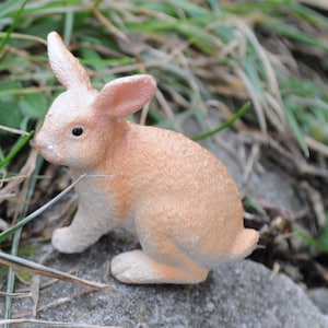 May include: A small, light orange rabbit figurine with detailed fur texture, sitting on a gray stone. The rabbit has pink inner ears and a small, black eye. The background features green grass and foliage.