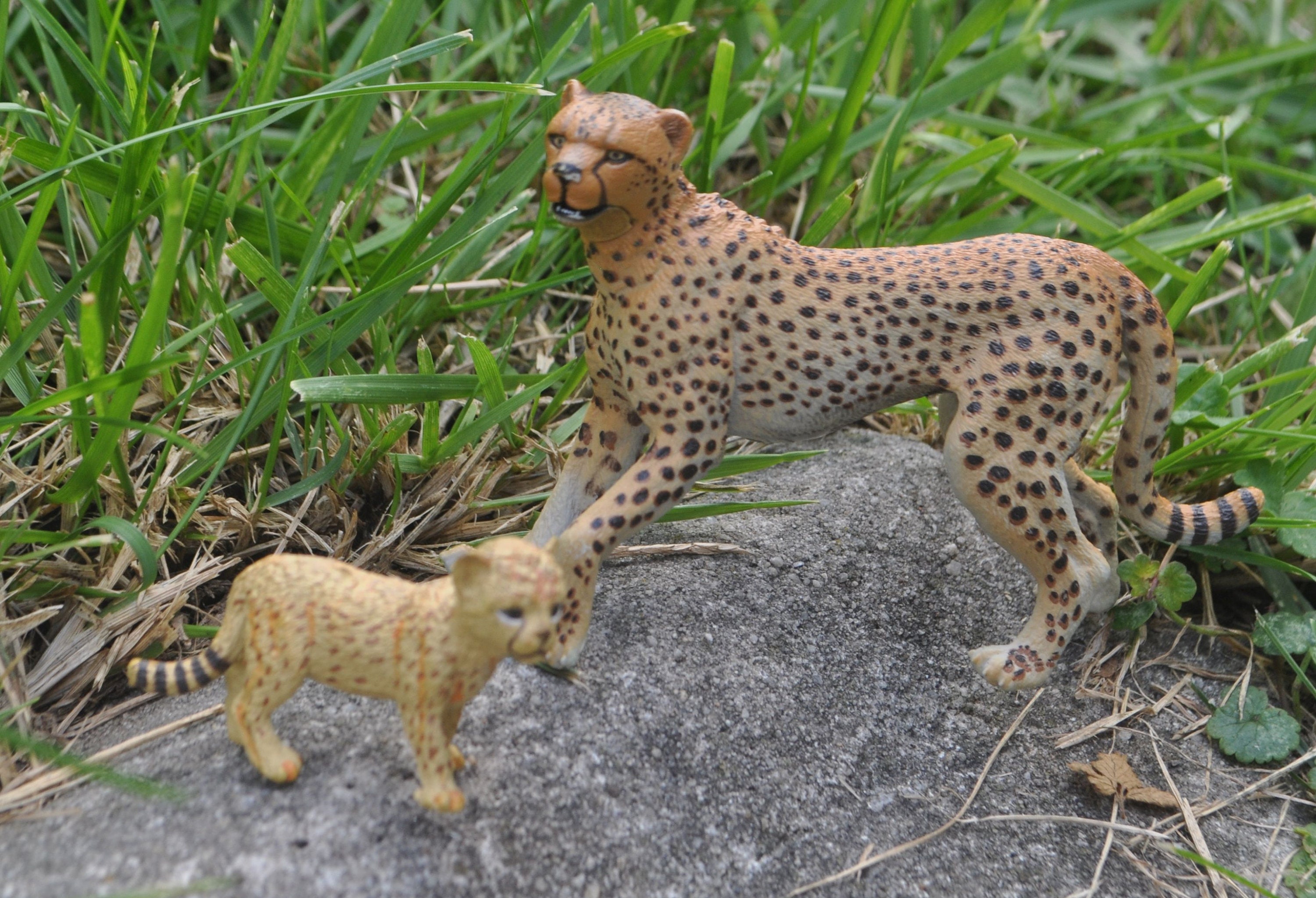 Fairy Garden Zoo - Etsy Sweden