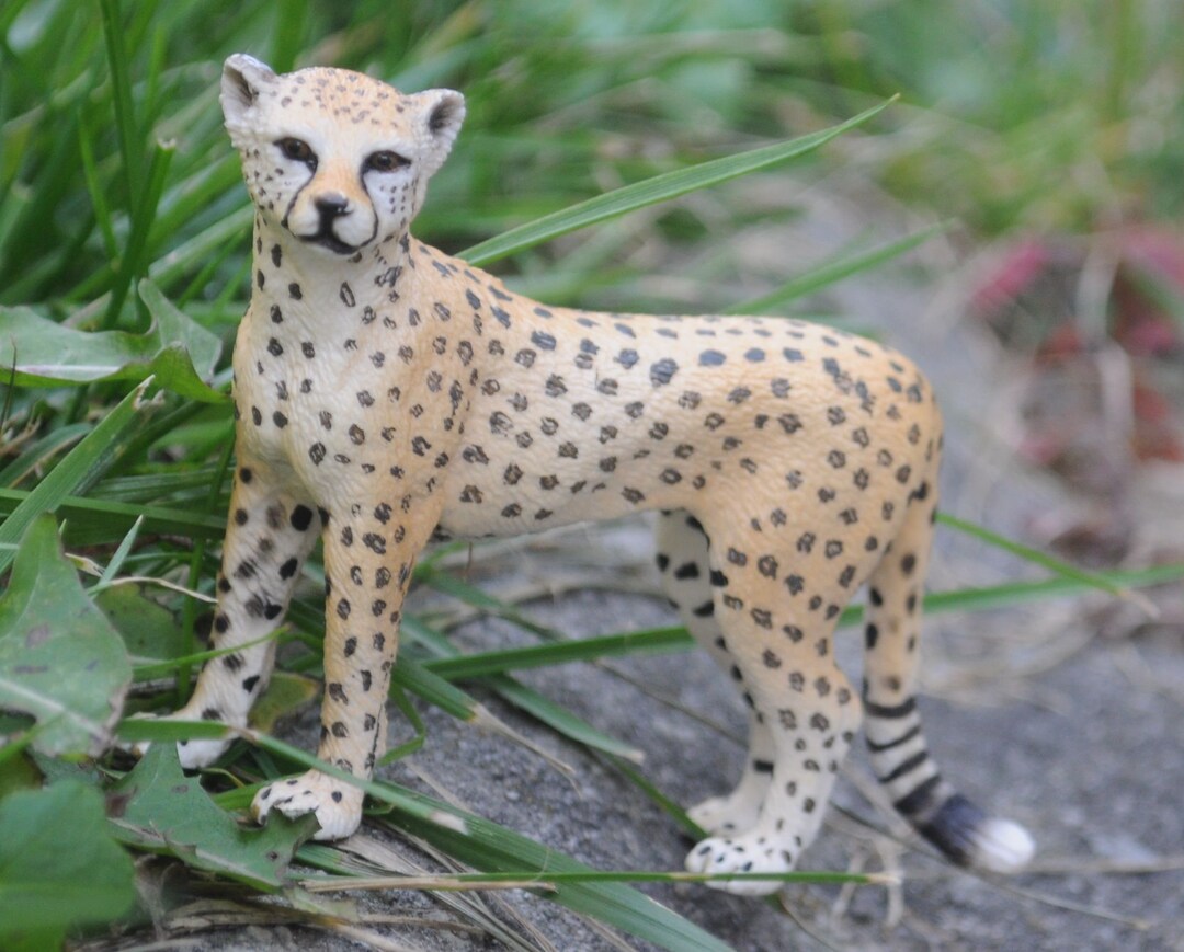 Schleich Wildlife - Cheetah, female main image 1