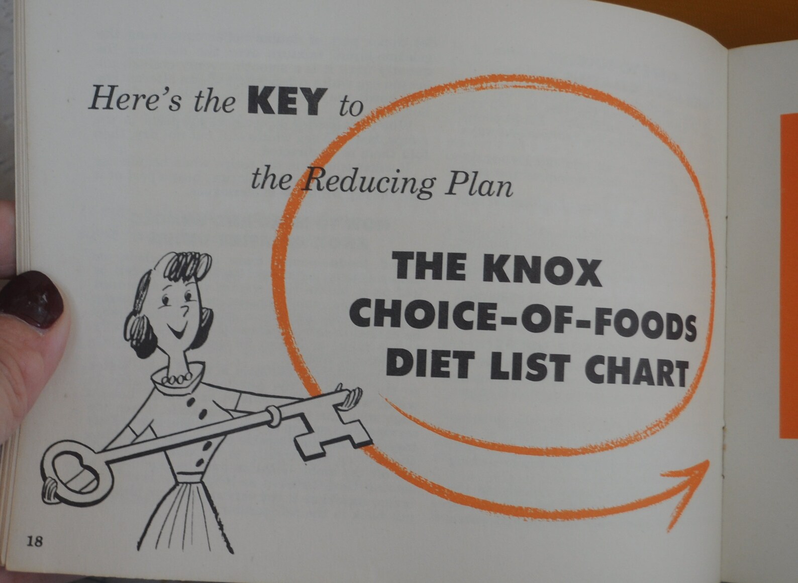 Knox Gelatin Diet Plan at Amelia Tiedemann blog