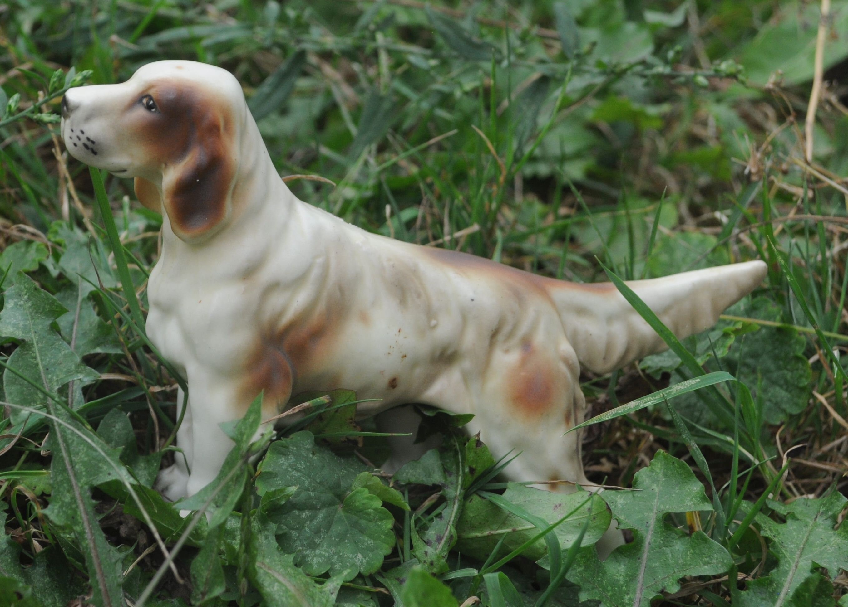 Hunting Dog Miniature