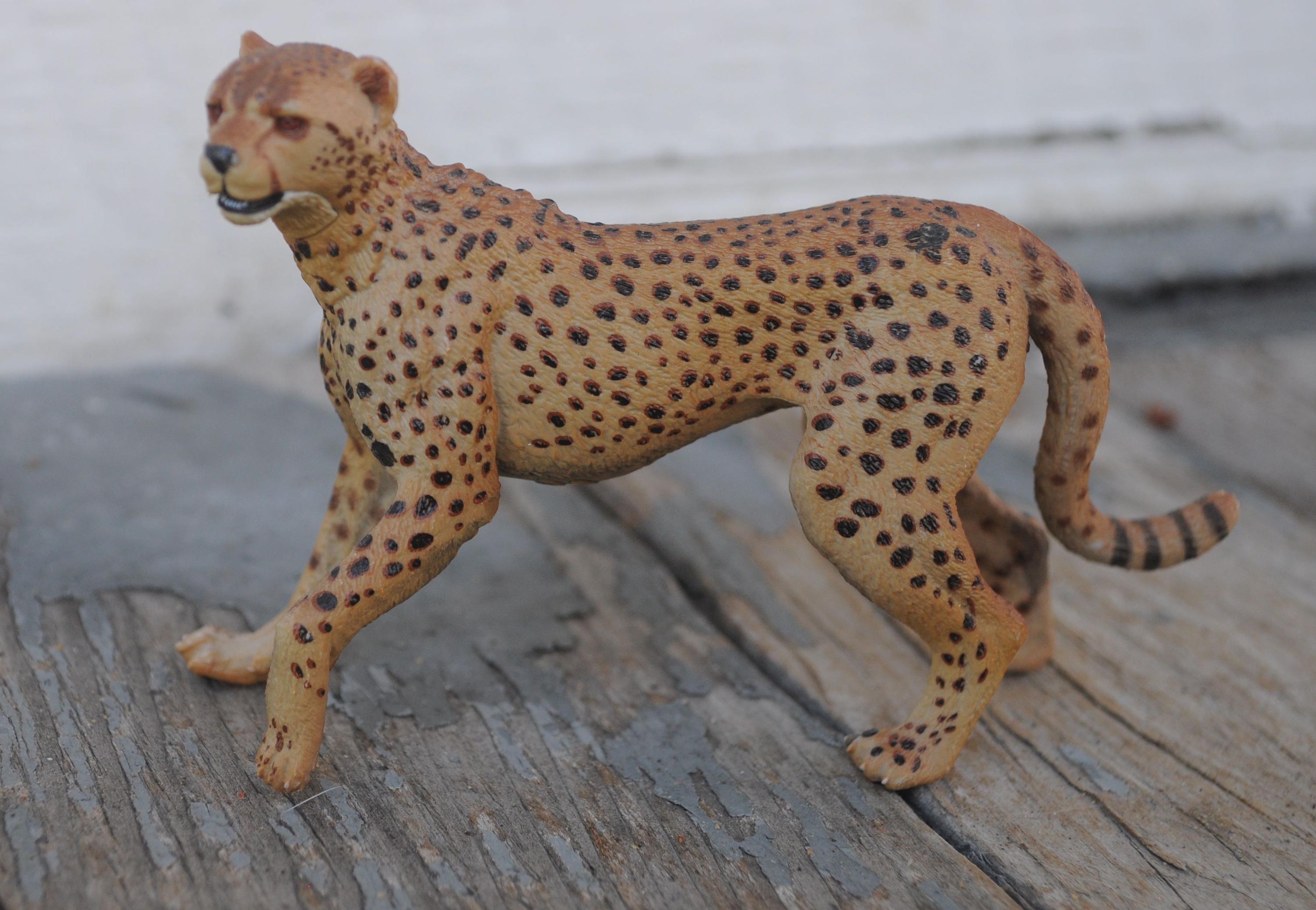 (未使用･未開封品)　Running Cheetah figure by Papo (Model No. 50238) 6k88evb 41aZPHiv89L.jpg_BO30,255,255,