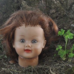 Peut inclure: Une tête de poupée vintage avec des cheveux bruns et des yeux bleus. La tête de poupée est montée sur une base en bois et repose sur un lit d'herbe sèche et de feuilles. Une petite brindille de trèfle est visible.