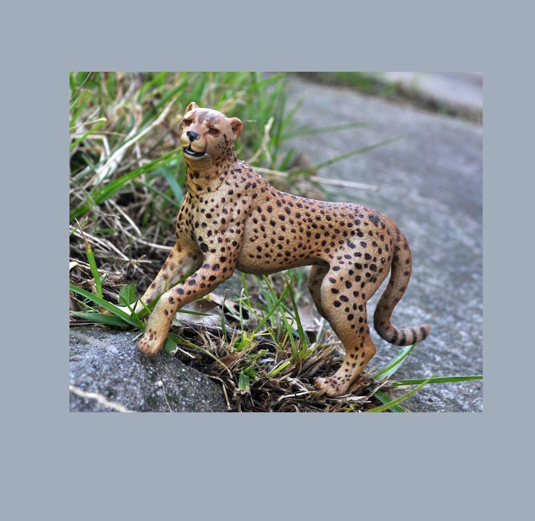 (未使用･未開封品)　Running Cheetah figure by Papo (Model No. 50238) 6k88evb 41aZPHiv89L.jpg_BO30,255,255,