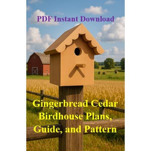 DIY Gingerbread Birdhouse Plans & Pattern-PDF Instant Download for Beginner Woodworking-Basic Woodworking-Fun Woodworking, Step by Step Plan