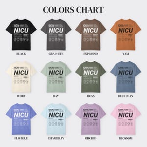 Comfort Colors 1717 :  Colors Chart