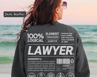 Funny Lawyer Sweatshirt, Law School Graduation Gift