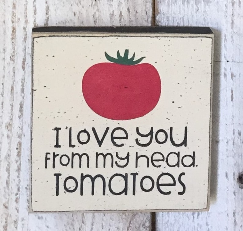 Farmhouse kitchen decor, kitchen food signs, gift for mom, mini wood signs in sizes 5.5 and 7, spring decor, funny vegetable sayings image 5