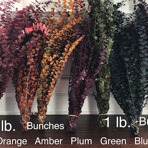 Dyed Very Fragrant Preserved Eucalyptus Bunch Dried Floral Arrangements Dried Eucalyptus Colorful, Soft, Fresh, Fragrant, Large Bunches image 3