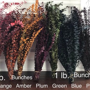 Dried eucalyptus stems in various colors, including red, orange, amber, plum, green, blue, and purple. Each color is 1 lb. bundled together with twine and labeled with the color name. Order by weight in small amounts like 1/4 lb. or large amounts like 1 or 2 lbs. Lengths range from 12-28 inches. Eucalyptus is dyed, washed & preserved to the it will last up to 10 years without fading. Indoor use only.