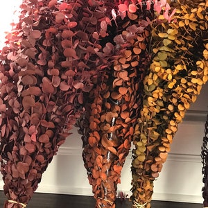 Three bundles of dried eucalyptus branches in shades of red, orange, and yellow.  
A collection of dried eucalyptus branches dyed in various colors, including purple, green, orange, red, amber, plum and blue. Order by weight in small amounts like 1/4 lb. or large amounts like 1 or 2 lbs. Lengths range from 12-28 inches. Eucalyptus is dyed, washed & preserved to the it will last up to 10 years without fading. Indoor use only.