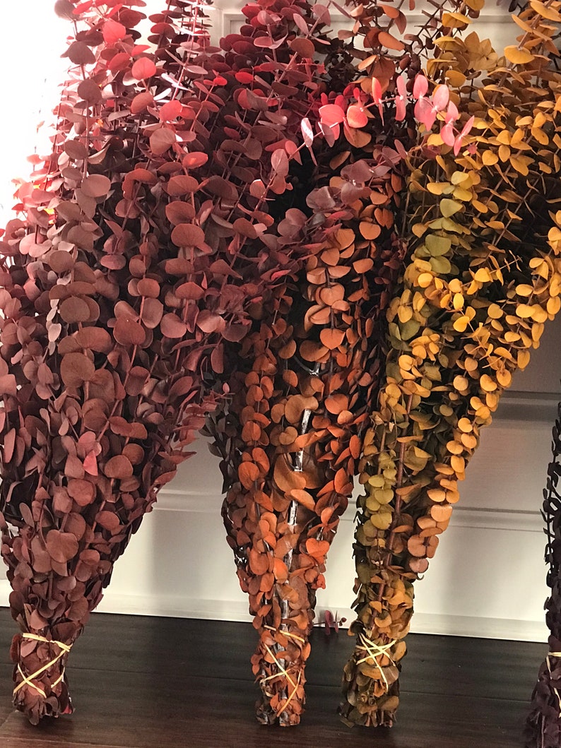 Three bundles of dried eucalyptus branches in shades of red, orange, and yellow.  
A collection of dried eucalyptus branches dyed in various colors, including purple, green, orange, red, amber, plum and blue. Order by weight in small amounts like 1/4 lb. or large amounts like 1 or 2 lbs. Lengths range from 12-28 inches. Eucalyptus is dyed, washed & preserved to the it will last up to 10 years without fading. Indoor use only.