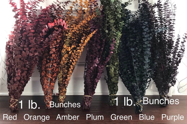 Dyed Very Fragrant Preserved Eucalyptus Bunch Dried Floral Arrangements Dried Eucalyptus Colorful, Soft, Fresh, Fragrant, Large Bunches image 3