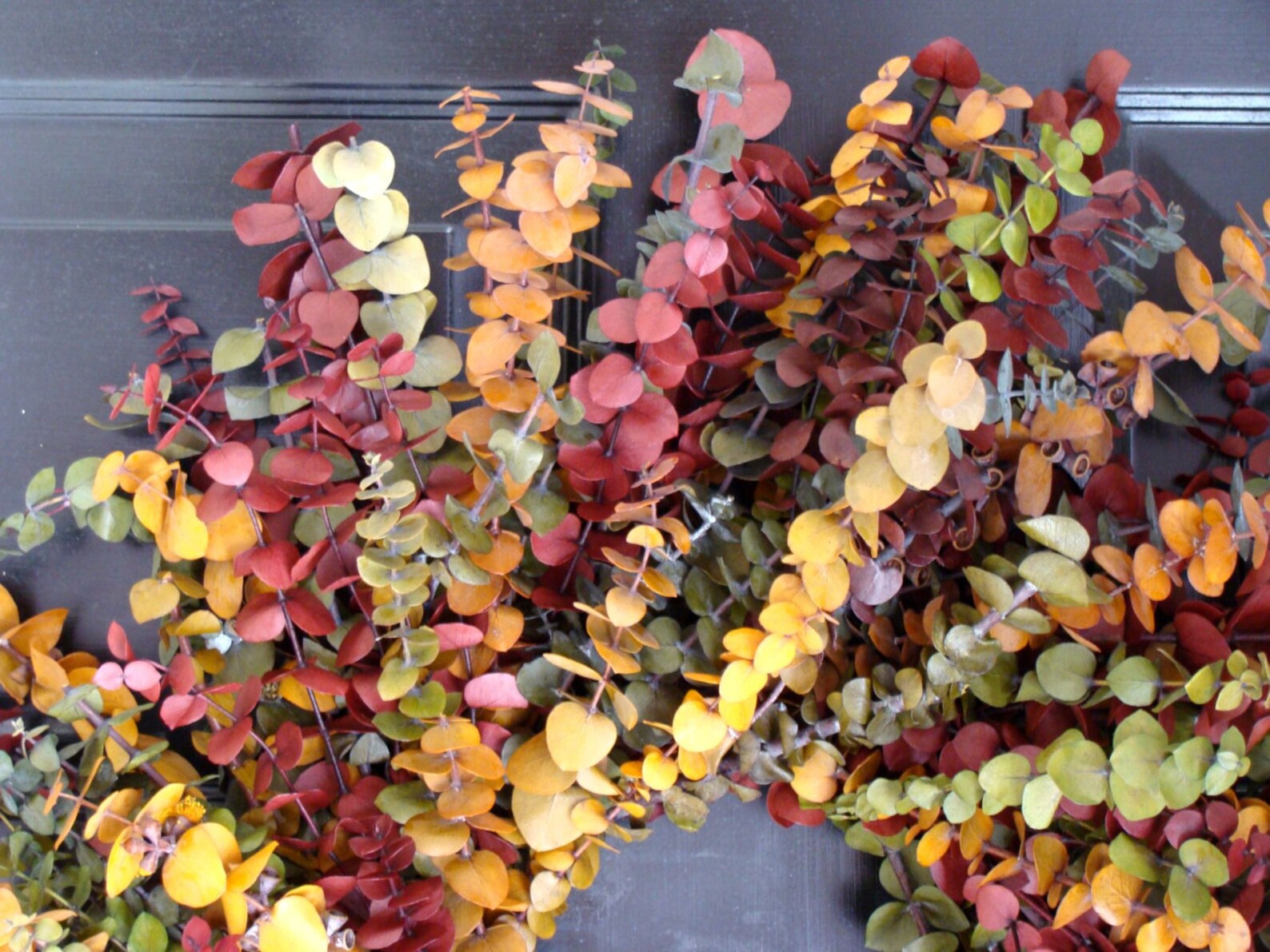Fall Colors Fall Wreath Eucalyptus Wreaths Fall Decor | Etsy