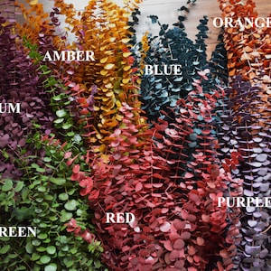 A collection of dried eucalyptus branches dyed in various colors, including purple, green, orange, red, amber, plum and blue. Order by weight in small amounts like 1/4 lb. or large amounts like 1 or 2 lbs. Lengths range from 12-28 inches. Great for any room as the fragrance naturally creates a calming effect. The eucalyptus is dyed, washed and preserved to the it will last up to 10 years without the color fading. Indoor use only. Also available in wreaths of various color combinations.