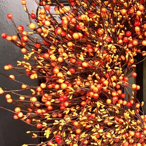 Puede incluir: Una corona hecha de ramas marrones con peque&ntilde;as bayas naranjas y rojas. La corona est&aacute; colgada en una puerta negra.