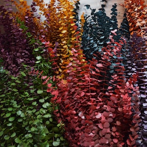 A collection of dried eucalyptus branches dyed in various colors, including purple, green, orange, red, amber, plum and blue. Order by weight in small amounts like 1/4 lb. or large amounts like 1 or 2 lbs. Lengths range from 12-28 inches. Great for any room as the fragrance naturally creates a calming effect. The eucalyptus is dyed, washed and preserved to the it will last up to 10 years without the color fading. Indoor use only. Also available in wreaths of various color combinations.